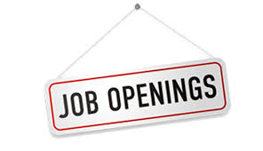 Image result for job images