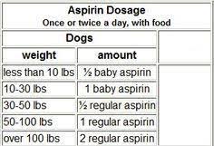 Bayer Aspirin Is Okay It Is Not Recommended By A Vet To Give Tylenol Or Advil That Is Bad Tylenol For Dogs Aspirin For Dogs Baby Aspirin For Dogs