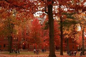 Harvard University Fall Autumn Cozy Photo October Country