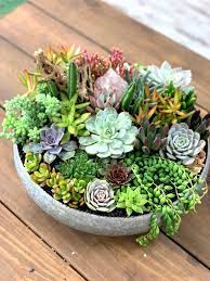 Modern Concrete Big Bowl Centerpiece Succulents Succulent Garden Diy Succulent Garden Design