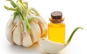 Huile Essentielle D Ail Quelles Sont Ses Vertus