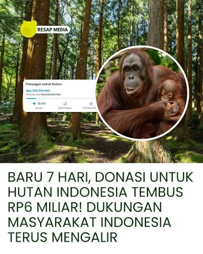 Patungan untuk Hutan has officially surpassed Rp7 billion in donations. The  collective fundraising initiative continues to gain support, with the total  funds now reaching Rp7 billion to help protect and restore Indonesia's