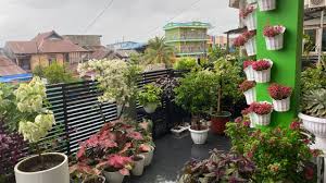 Video kali ini membahas tentang ide kreatif untuk mempercatik tampioan bunga krokot, supaya menambah nilai jual dan juga menjadikan tanaman . Taman Di Balkonku My Balcony Garden Part 2 Cara Menanam Bunga Nama Bunga