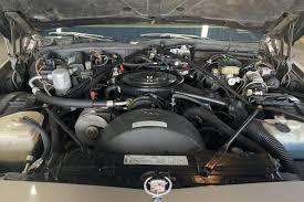 Image result for Heather Firemist 1985 GM