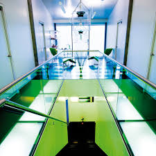 Going Global: The Swiss Take On Aesthetics