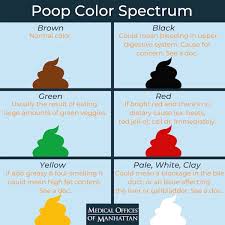 The Scoop On Poop. — County Yoga Loft