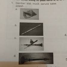 Alat musik tradisional saron adalah alat musik dalam instrumen gamelan yang berasal dari jawa tengan alat musik ini masih termasuk keluarga alat musik ini kegunaannya sebagai mengatur tempo irama bersama dengan serune kalee. Gambar Alat Musik Serune Kale Adalah Brainly Co Id