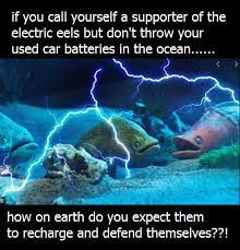 Throwing car batteries into the ocean is perfectly safe and in fact is actually beneficial for aquatic life! reads google's answer box. Https Sa Throwing Your Old Car Batteries Into The Ocean Facebook