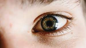 If you have an eye emergency, please contact your nearest urgent or emergency care. Emergency Eye Care Burbank Optometrist Eye Care Center Limited