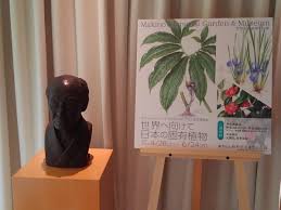 This blog post reveals a collection of botanical illustrations and flower drawings from the annual inktober challenge. Botanicalartworldwide Hashtag On Twitter