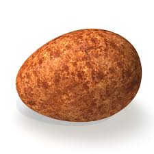 Realistic Peregrine Falcon Egg Dxf 3d Model Peregrine Falcon Peregrine Falcon