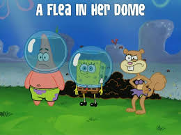 Pin By Peyton Lopp On Sponge Bob Spongebob Pics Spongebob Fleas