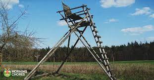 We did not find results for: 20 Free Diy Deer Stand Plans And Ideas Perfect For Hunting Season