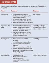 Four Phases Of Aki Acute Kidney Injury Nursing Student Medical Doctor Rn Np Pa Transplant Nurse Acute Kidney Injury Kidneys Nursing