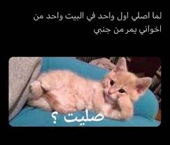Pin By Zahraa Hasan On Arabic Jockes Funny Photo Memes Funny Memes Cute Comics