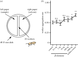 Pheromone in insect pest management. Multi Functional Roles Of A Soldier Specific Volatile As A Worker Arrestant Primer Pheromone And An Antimicrobial Agent In A Termite Proceedings Of The Royal Society B Biological Sciences