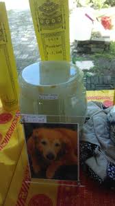 Pets in peace is providing pets community services which helping m. Pets In Peace Malaysia Pets Cremation Services