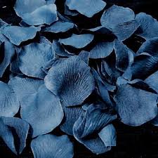 Drobne Mysli Jak Drobne Platki Wattpad Petals 13thfloater Ravenclaw Aesthetic Blue Aesthetic Ravenclaw