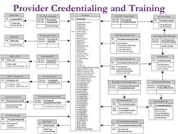 Credentialing Process Flow Chart Facebook Lay Chart