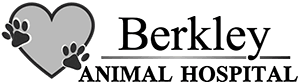 Berkley animal clinic is a veterinary company based out of 3996 12 mile rd, berkley, michigan, united states. Veterinarian In Berkley Mi Berkley Animal Hospital