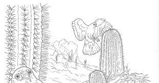 Algorithms of counting popular trends of our website offers to you see some popular coloring pages: Sahara Desert Coloring Pages Hicoloringpages Coloring Home