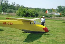 Image result for Elfenbein 1992 Fleet