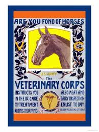 Join The Veterinary Corps Prints Horst Schreck Allposters Com Veterinary Army Poster Vintage Horse