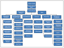 Organizational Chart Template Shatterlion Info