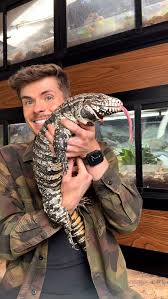 Image result for Urochloa comata