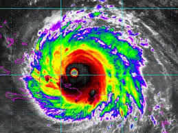 Image result for hurricane irma