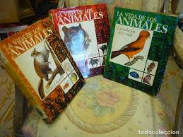 Maybe you would like to learn more about one of these? La Vida De Los Animales La Poblacion De La Tie Comprar Libros De Biologia Y Botanica En Todocoleccion 120804455