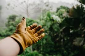 ✅ plan and save nearest shops teng tools in canberra act and surroundings (4). Top 10 Basic Gardening Tools For Beginners Jimsmowing Com Au