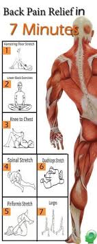 We did not find results for: Back Pain