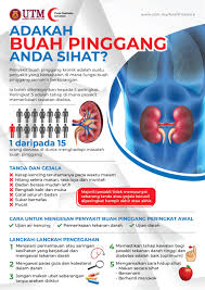 Penyakit buah pinggang terjadi apabila buah pinggang kita rosak dan gagal untuk berfungsi dengan baik. Health Information Health Centre