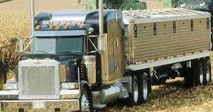 Sheriff S Dept Investigating Hit And Run By Grain Hauler Truck Trucks Peterbilt Trucks Hit And Run