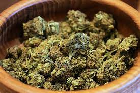 Based on the lack of scientific information supporting the safety of cbd in food, the fda is also indicating today that it cannot conclude that cbd is generally recognized as safe (gras) among. Polizei Durchsucht Freiburger Hanfladen Wegen Cbd Gras Freiburg Badische Zeitung