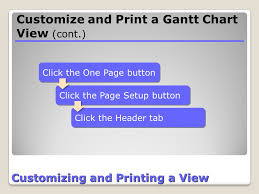 Project Information Customizing And Printing Lesson Ppt