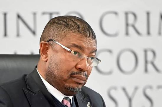 If you won't stand up to authority, don't put your hand up to lead: Madlanga to IDAC boss | News24