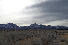 The crab cooker is pleased to announce it received an award from trip advisor for the consistent achievement of high ratings from travelers. Crab Cooker Hot Springs Andrew Leonard Flickr