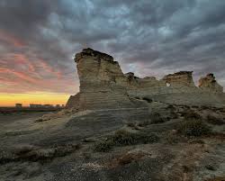 Image result for Struthiola montana