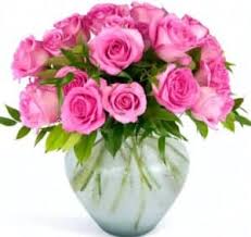 Pink Rose Colour Scheme | Shades Of Pink Colour Palette | Pink Combos