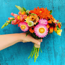 Keeping cut flowers fresh for weddings is especially demanding; 10 Easiest Annual Cut Flowers To Grow From Seed And 2 To Avoid Shifting Roots