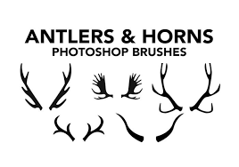 Antlers Brushes Horns Photoshop Brushes Photoshop Brushes Free Photoshop Brushes Photoshop