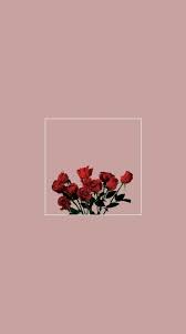 Best hd wallpapers of flowers, desktop backgrounds for pc & mac, laptop, tablet, mobile phone. Aesthetic Wallpaper Rose 568x1017 Wallpaper Teahub Io