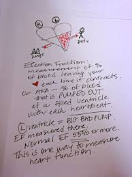 Rightatrium Ejection Fraction Nursing School Survival Nurse Nclex