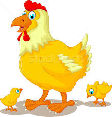 We did not find results for: Engracado Galinha Desenho Animado Bebe Frango Olho Ilustracao De Vetor C Jawa123 7439524 Stockfresh