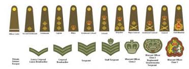 Military British Military Ranks