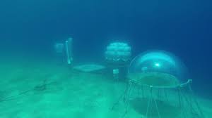 Nemo S Garden The Experiment Site Ocean Italy Nemo