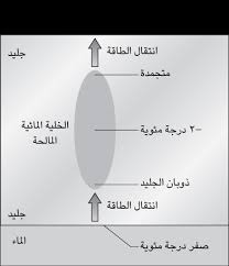 تحويل درجة الحرارة اون لاين، تستطيع التحويل بين وحدات قياس درجات الحرارة مثل درجة مئوية و الكلفن و الفهرنهايت، وايضاً سوف تجد الشرح لكيفية القيام لتحويل درجة الحرارة امامك طريقتين. Ø§Ù„Ø­Ø±Ø§Ø±Ø© Ø³ÙŠØ±Ùƒ Ø§Ù„ÙÙŠØ²ÙŠØ§Ø¡ Ø§Ù„Ø·Ø§Ø¦Ø± Ù…Ø¤Ø³Ø³Ø© Ù‡Ù†Ø¯Ø§ÙˆÙŠ