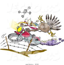 Quick cruise downtown on the drz! Vector Of A Cartoon Turkey Jumping Over Fence On A Motorcycle By Toonaday 25733